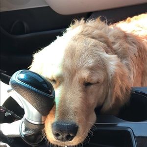 Meet your Posher, Ashly